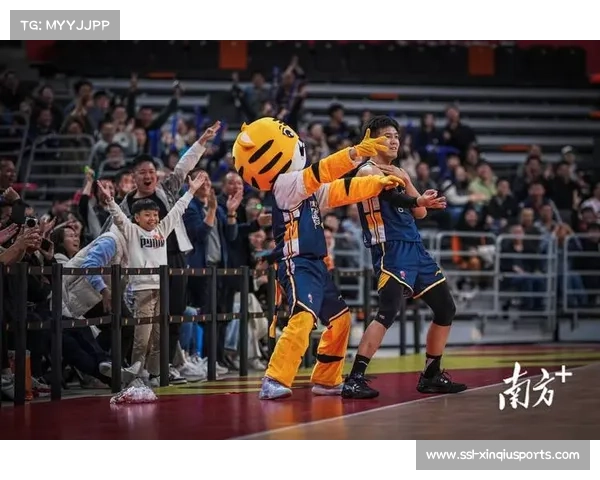 京粤大战背后的战略考量：广东队赛季规划与伤病管理